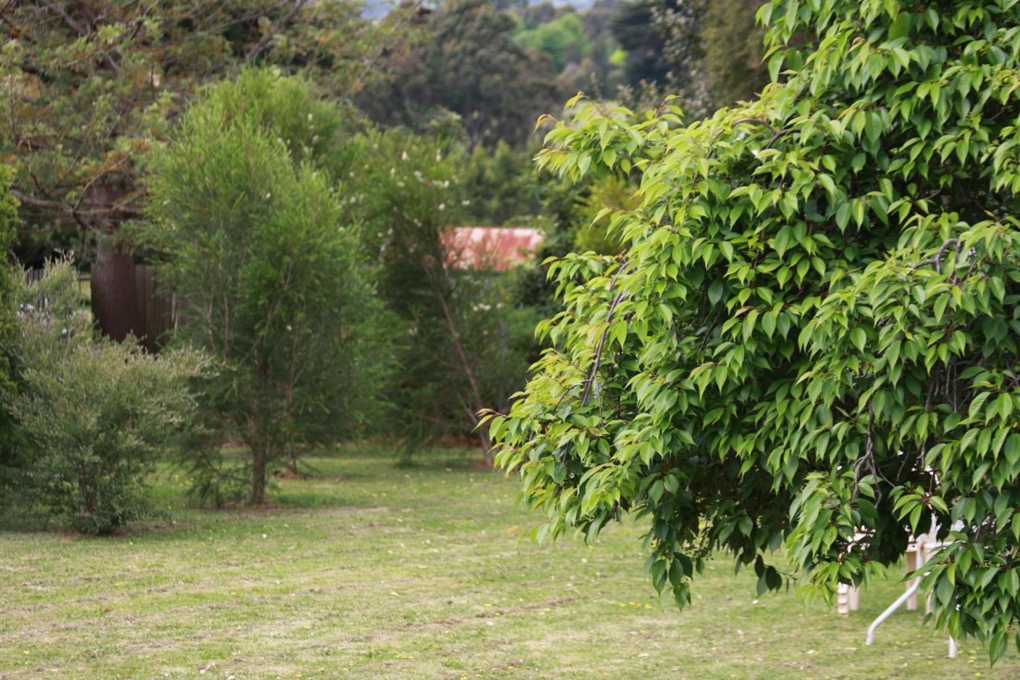 Leongatha オパル モテルモーテル エクステリア 写真